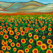 Sunflower Dream  20 X 16 Poster