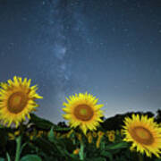 Sunflower Galaxy V Poster