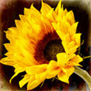 Sunflower On Painted Background. Poster