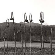 Sunflower Swingset Poster