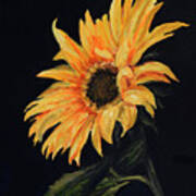 Sunflower Vii Poster
