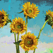 Sunflowers #6 Poster