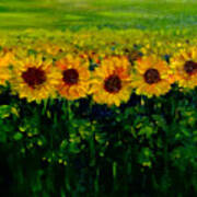 Sunflowers In A Row Poster