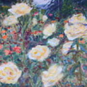 Sunny Day At The Rose Garden Poster