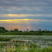 Sunrays On The Wetlands Poster