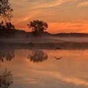 Sunrise Goose Poster