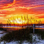 Sunrise Hilton Head Beach Poster