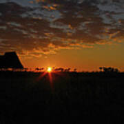 Sunrise In Botswana Poster
