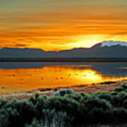 Sunrise On Antelope Island Poster