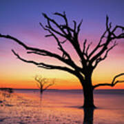 Sunrise Silhouette At Botany Bay Island Poster