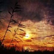 Sunset Among The Reeds #sunset Poster