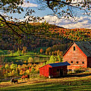 Sunset At Maple Grove Farm Poster