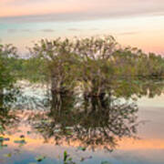 Sunset At The Everglades National Park Iii Poster