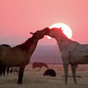 Sunset Horses Poster