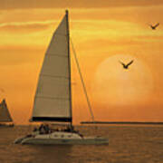 Sunset Sail Poster