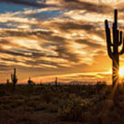 Sunstar Saguaro Sunset Poster