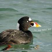 Surf Scoter Says No One Takes Me Seriously Poster