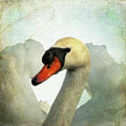 Swan Poster