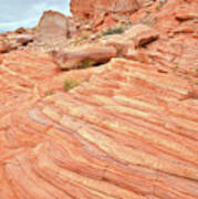 Swirling Sandstone Color In Valley Of Fire Poster