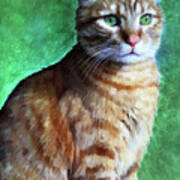 Tabby Cat Poster