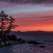 Tahoe Sunset Trees Poster