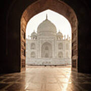 Taj Mahal Mosque View Poster