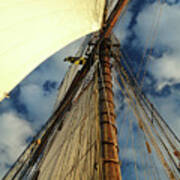 Tall Ship Sails Poster
