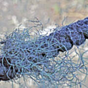 Tangled Fibers Poster