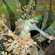 Teal Leafy Sea Dragon Poster