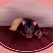 Templeton The Pet Fancy Rat Poster