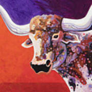 Texas Longhorn Poster
