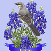 Texas State Mockingbird And Bluebonnet Flower Poster