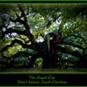 The Angel Oak Poster