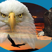 The Bald Eagle 2 Poster