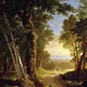 The Beeches By Asher Brown Durand Poster