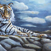 The Bengal Tiger Poster