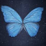 The Blue Butterfly Poster