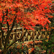 The Bridge In The Park Poster