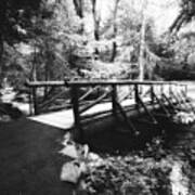 The Bridge Through The Woods In Black And White Poster