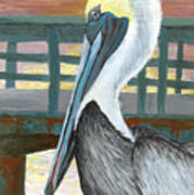The Brown Pelican Poster