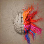 The Creative Brain Poster