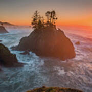 The Golden Sunset Of Oregon Coast Poster