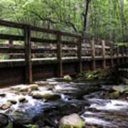 The Great Smoky Mountains Kephart Prong Bridge Poster