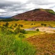 The Heather At Royal Deeside Poster