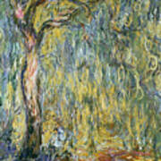 The Large Willow At Giverny Poster