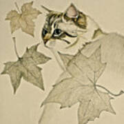 The Leaf Cat Poster