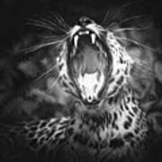The Leopard's Tongue Rolling Roar Ii Poster