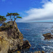 The Lone Cypress 17 Mile Drive Poster