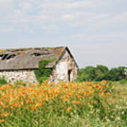 The Old Barn In Moorestown Poster