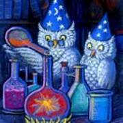 The Owl Chemists Poster